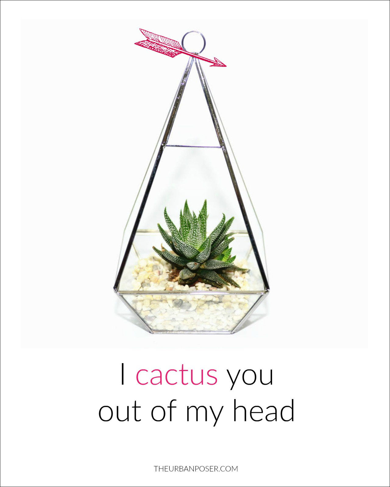 Valentine's I cactus You Our of My Head